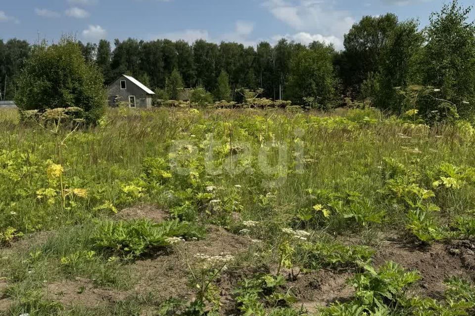 земля Тула городской округ, Октябрьский фото 6