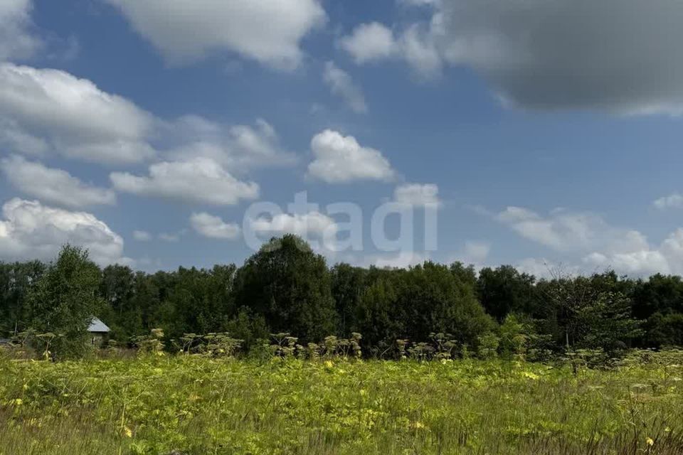 земля Тула городской округ, Октябрьский фото 7