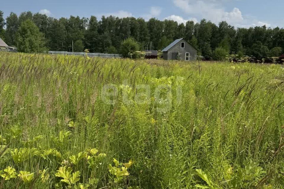 земля Тула городской округ, Октябрьский фото 8