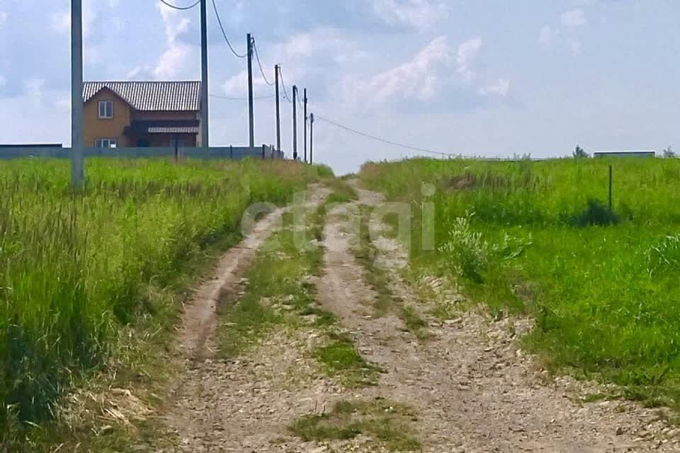 земля Тула городской округ, Демидовский фото 5