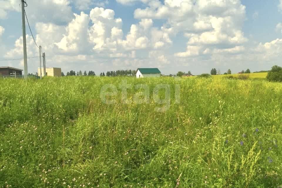 земля Тула городской округ, Демидовский фото 6