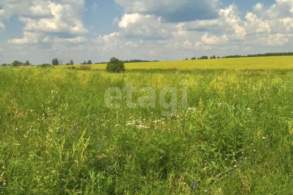 земля Тула городской округ, Демидовский фото 7