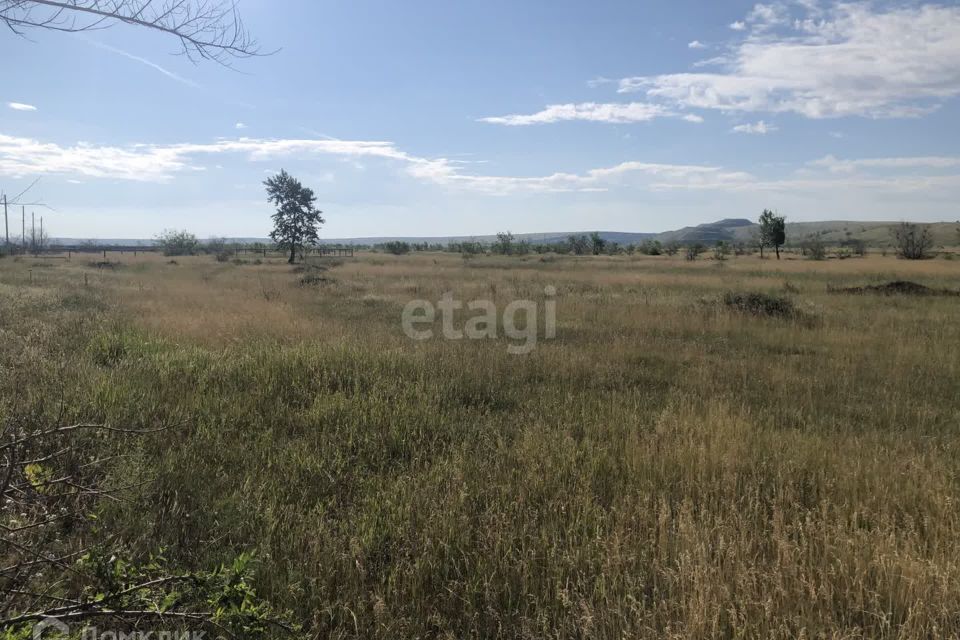 земля р-н Алтайский село Белый Яр фото 9