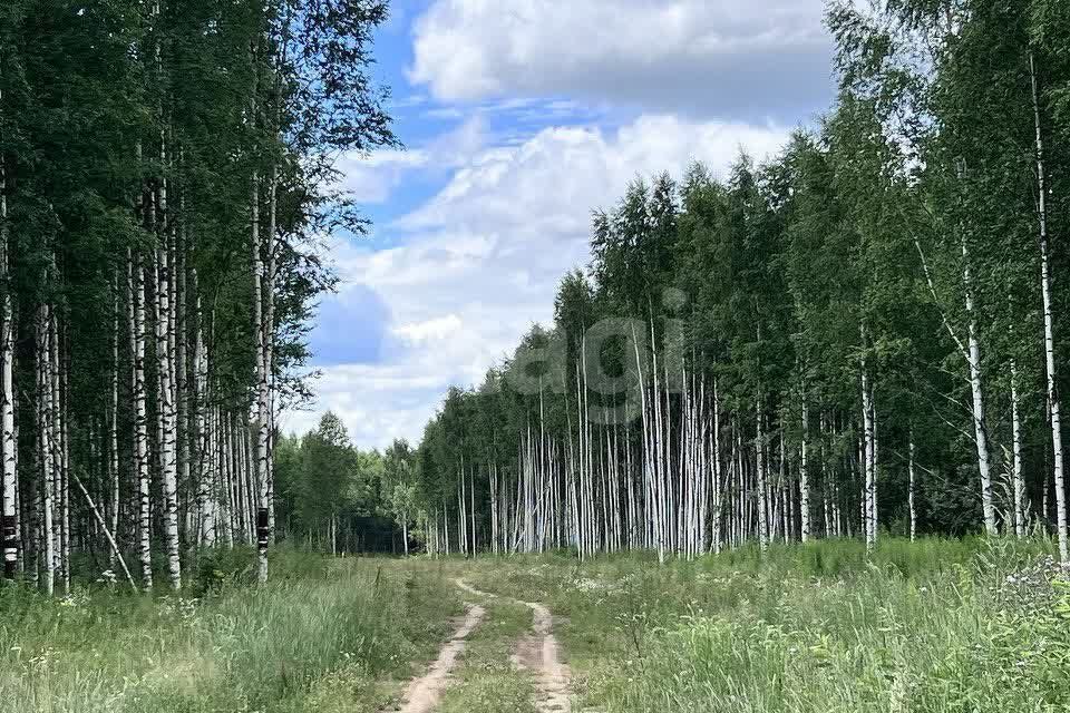 земля р-н Завьяловский фото 9