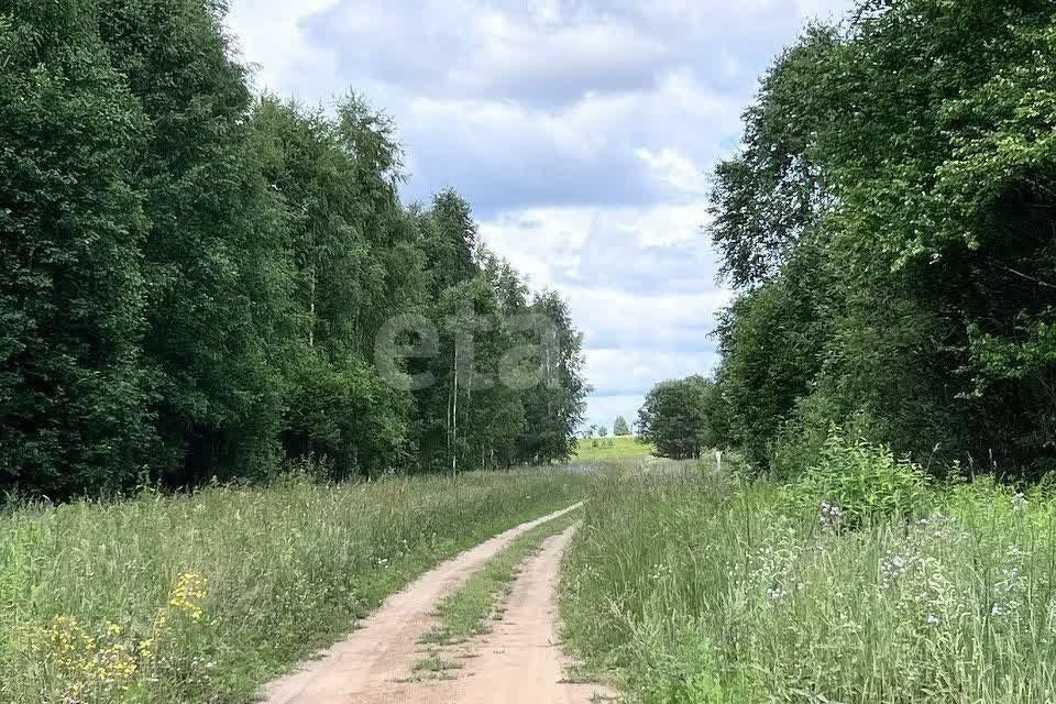 земля р-н Завьяловский фото 7