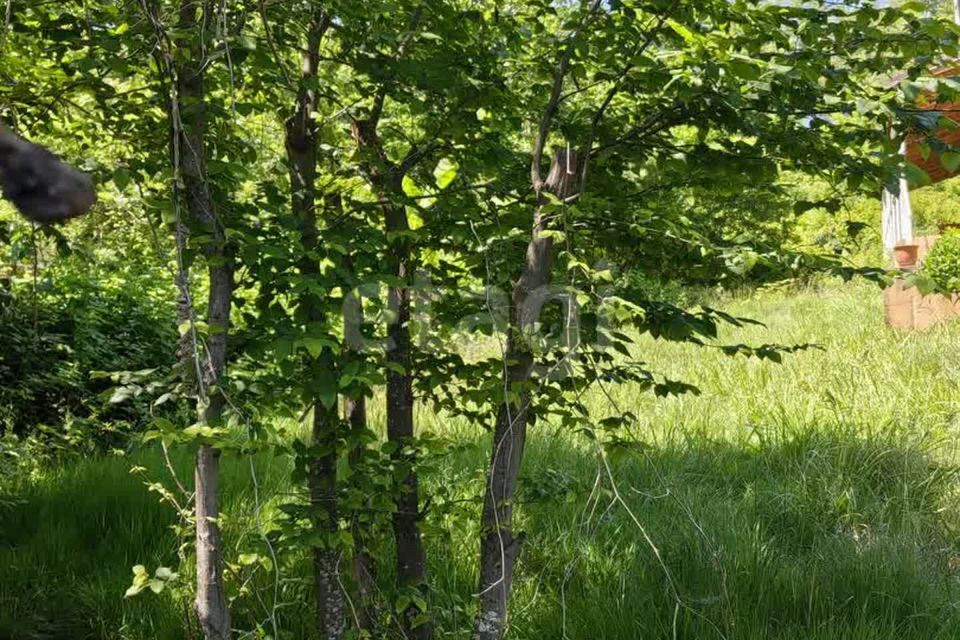 земля г Сочи с Нижняя Беранда городской округ Сочи, Нижняя Беранда фото 6