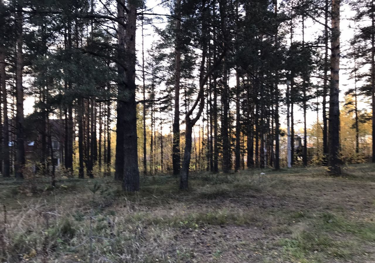 земля р-н Всеволожский г Всеволожск Дорога жизни, 6 км, Всеволожское городское поселение, мкр-н Южный фото 8