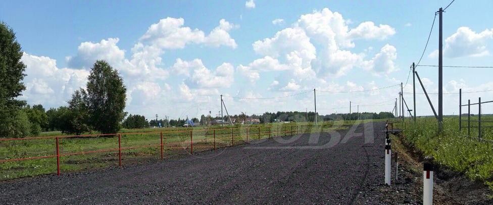 земля р-н Тюменский д Насекина ул Центральная фото 4