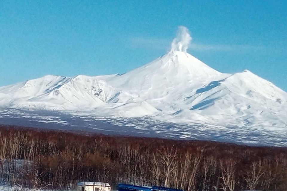 квартира г Петропавловск-Камчатский ул Шевченко 2-я 3 Елизовский район фото 5