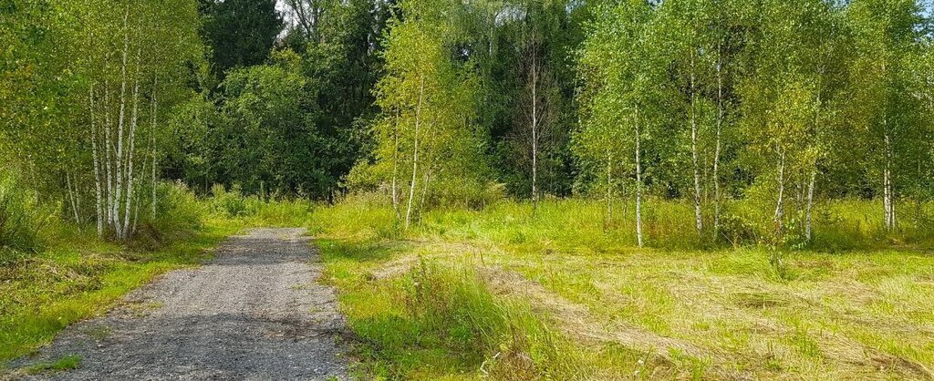 земля городской округ Наро-Фоминский д Таширово Апрелевка фото 18