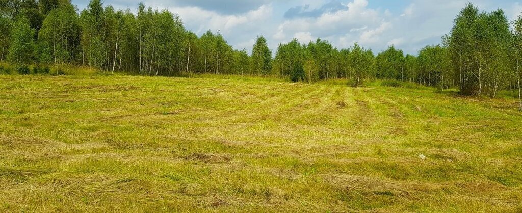 земля городской округ Наро-Фоминский д Таширово Апрелевка фото 19