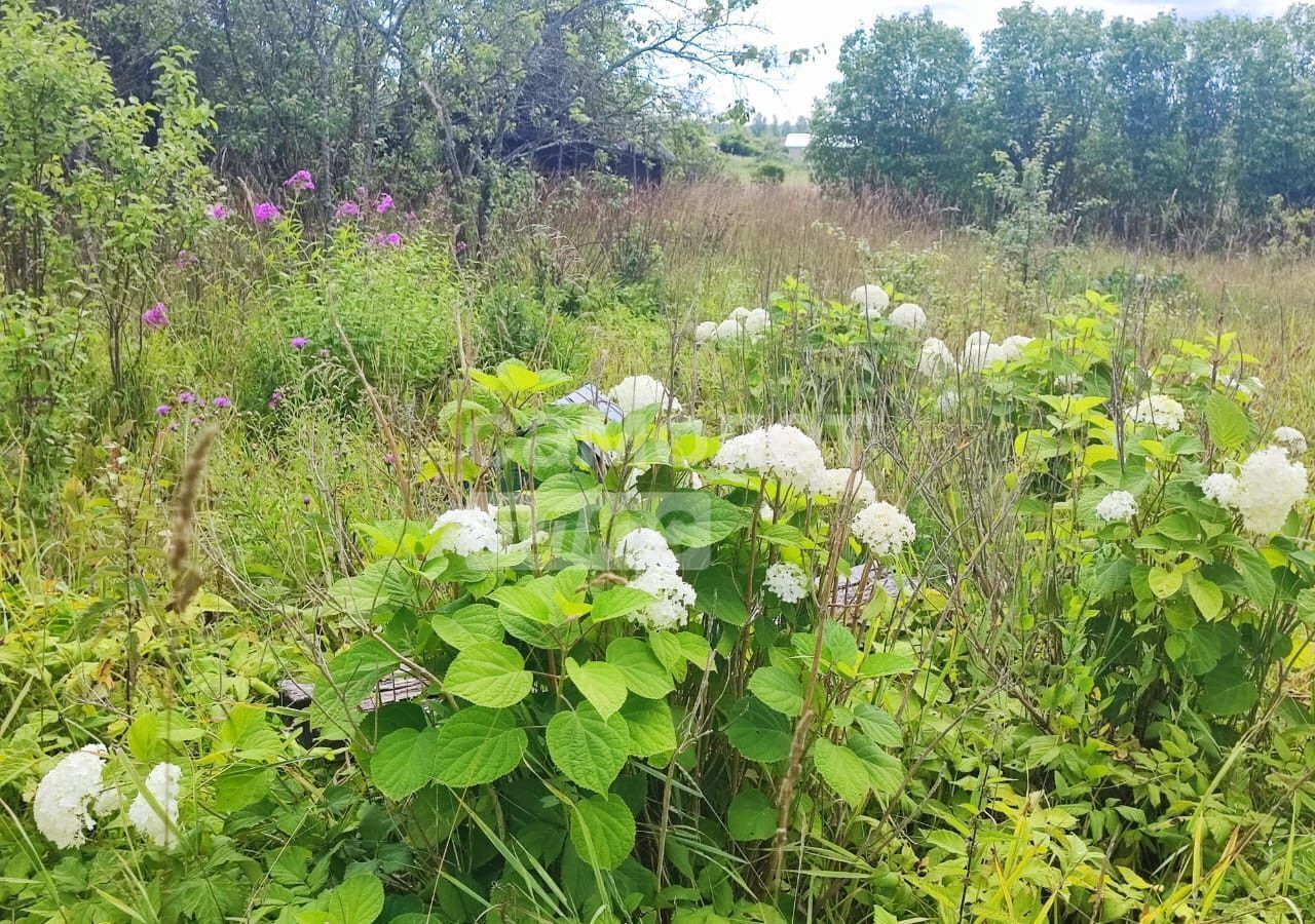 земля р-н Батецкий д Подберезье 61, Ленинградская область, Луга фото 7