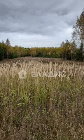 земля д Самойловка Тумботино фото