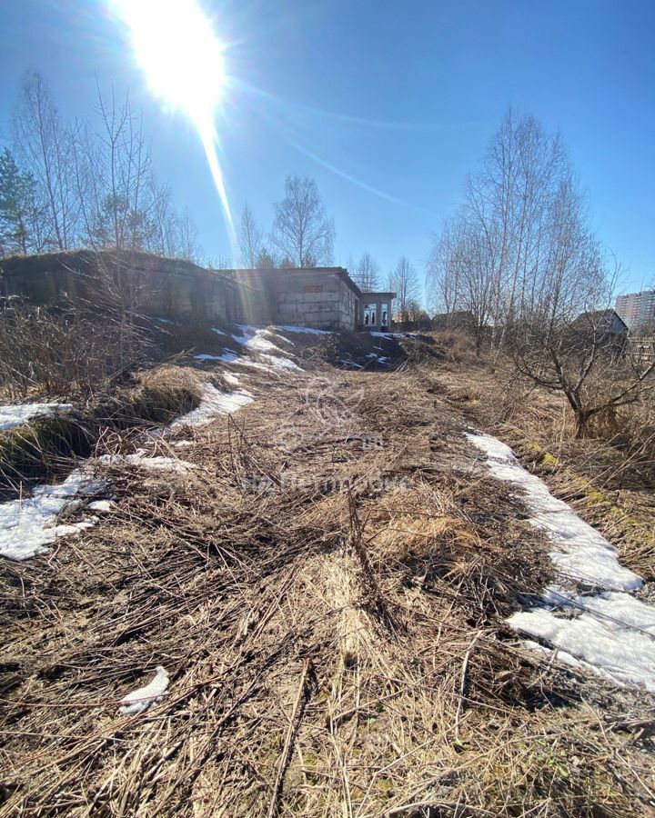 земля городской округ Одинцовский д Папушево снт Горки-15 проезд Речной 22 км, Горки-10, Рублёво-Успенское шоссе фото 38