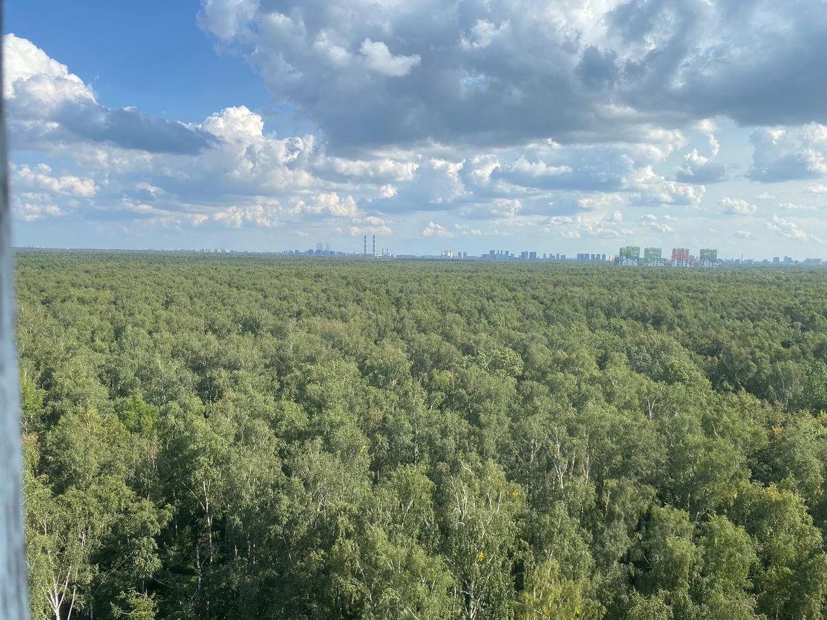 комната г Москва СЗАО Ярославский ш Ярославское 114/2 Московская область фото 10