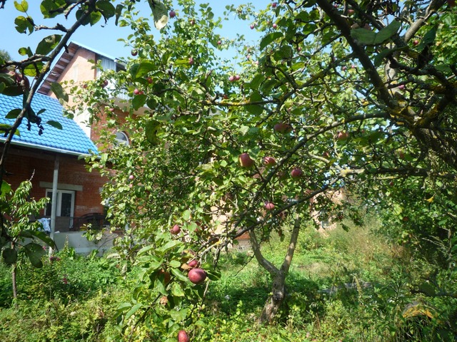 р-н Козельский г Козельск пр-д Дмитриевский 2 фото