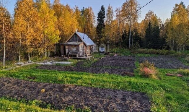 СНТ Тюльпан фото