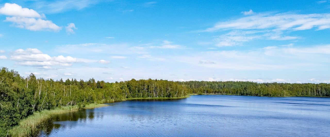 земля р-н Выборгский п Дятлово Советское городское поселение, Новое Дятлово кп фото 8