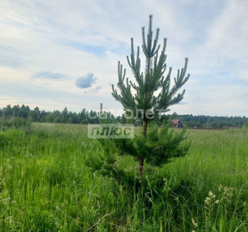 земля городской округ Серпухов п Пролетарский 63 км, ДНП Клеймёново-2, Тенистая ул, г. о. Серпухов, Симферопольское шоссе фото 12