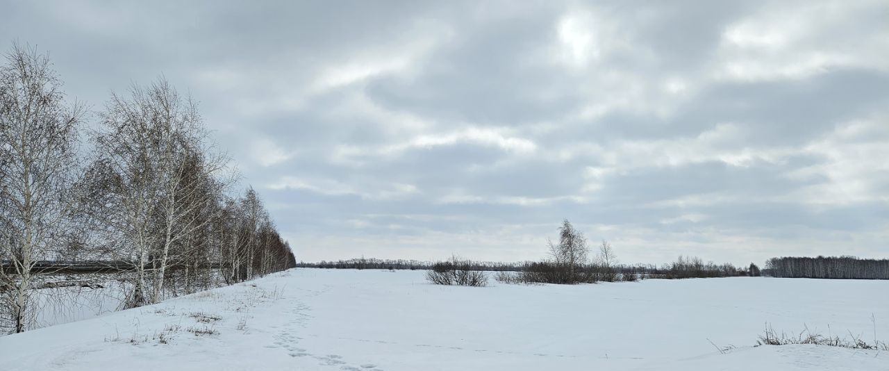 офис р-н Омский с Дружино мкр Александровская Усадьба ул Александровская фото 6