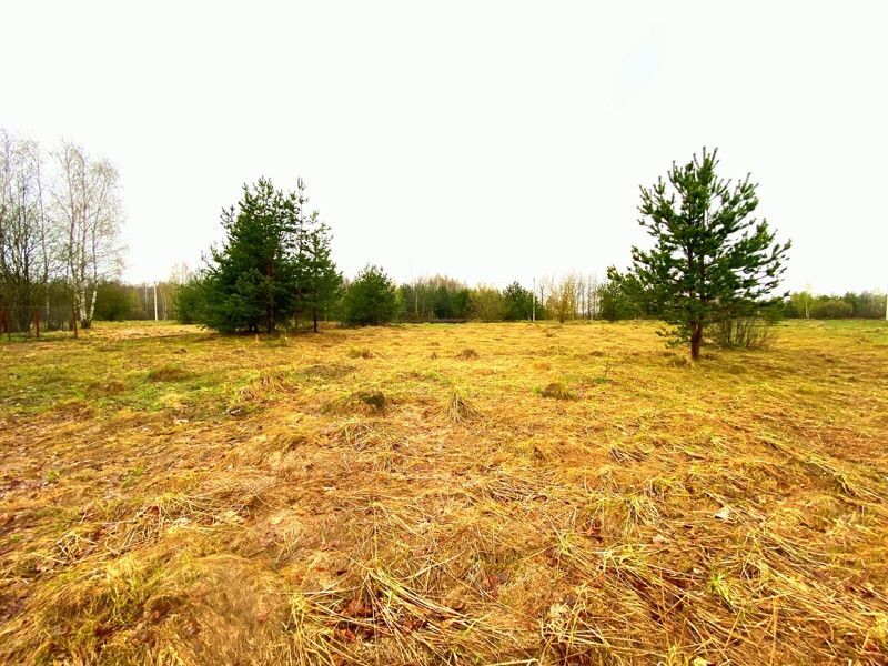 земля городской округ Орехово-Зуевский деревня Абрамовка фото 1