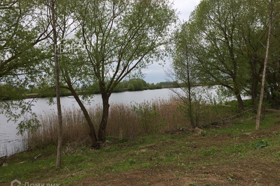 земля городской округ Воскресенск Сосновый бор фото 1