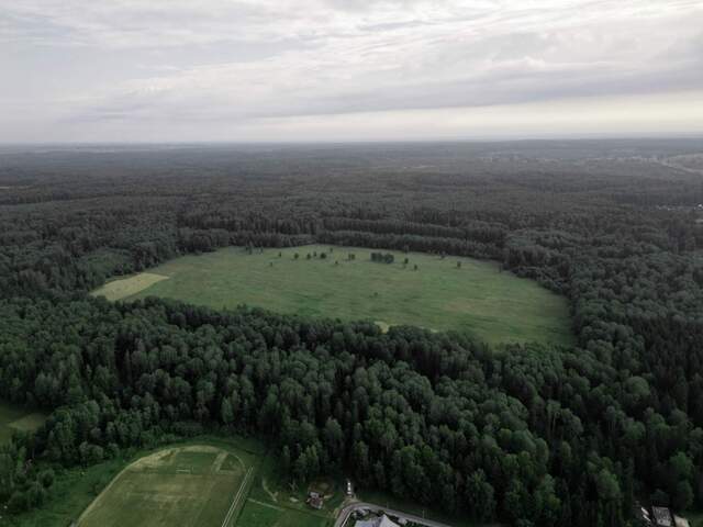 городской округ Шаховская д Муриково ул Лесная Новорижское шоссе фото