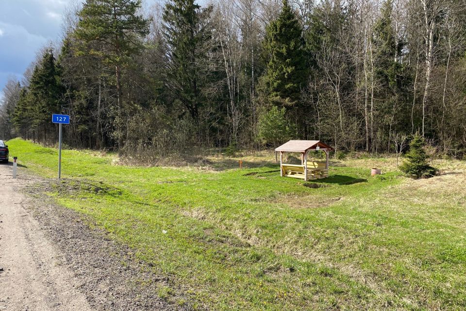 земля городской округ Можайский деревня Ельня фото 2