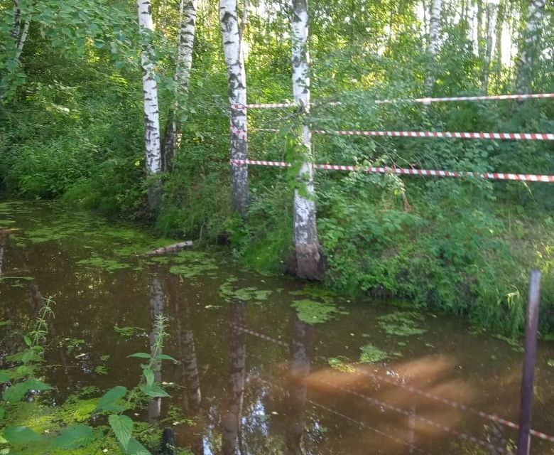 земля городской округ Павловский Посад садовое товарищество Текстильщик фото 2