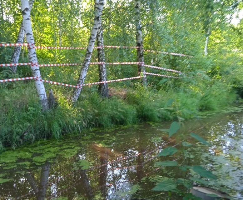 земля городской округ Павловский Посад садовое товарищество Текстильщик фото 4