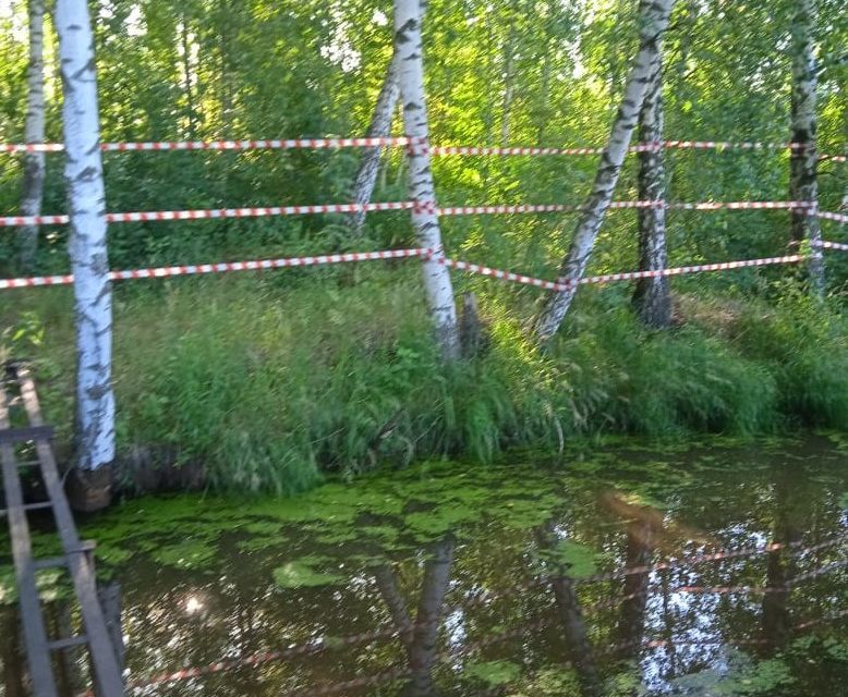 земля городской округ Павловский Посад садовое товарищество Текстильщик фото 3