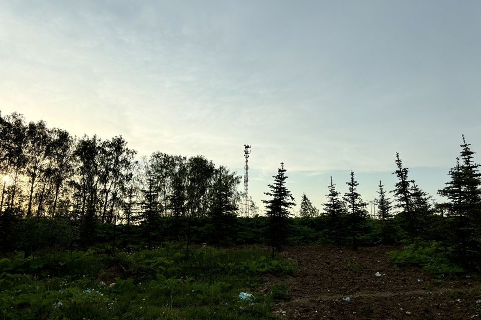 земля городской округ Дмитровский посёлок совхоза Останкино, Садовая улица, 36 фото 4