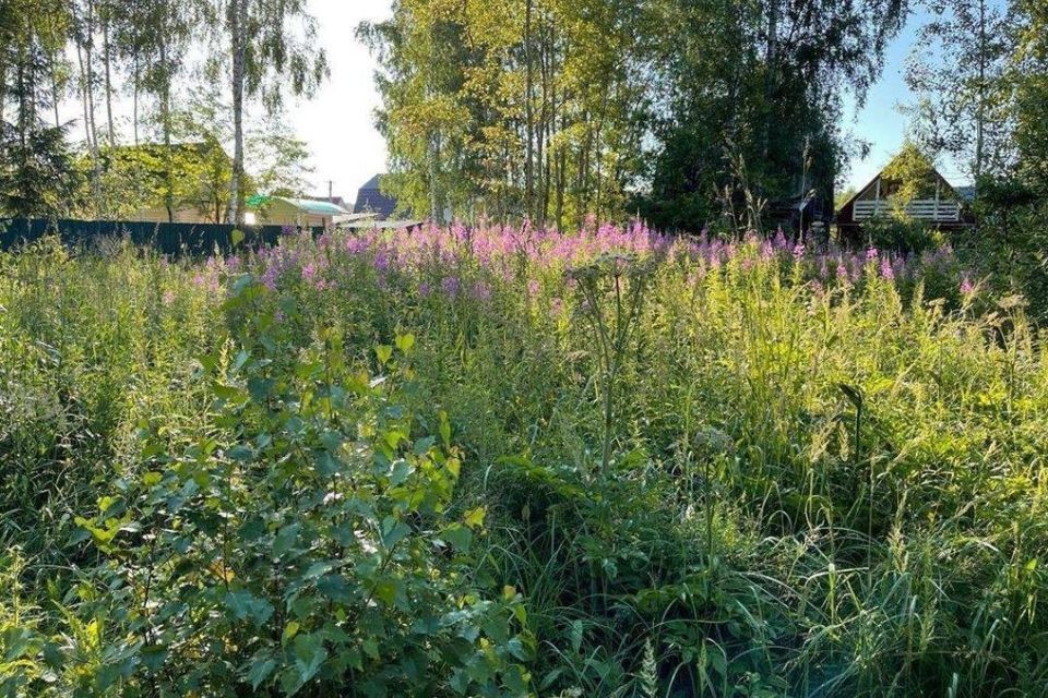 земля городской округ Наро-Фоминский деревня Чеблоково фото 3