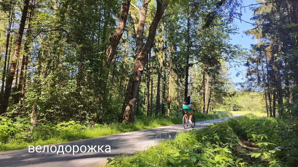 дом р-н Зеленоградский г Зеленоградск тер. СПК Сокольники де люкс ул Энтузиастов 14 фото 33