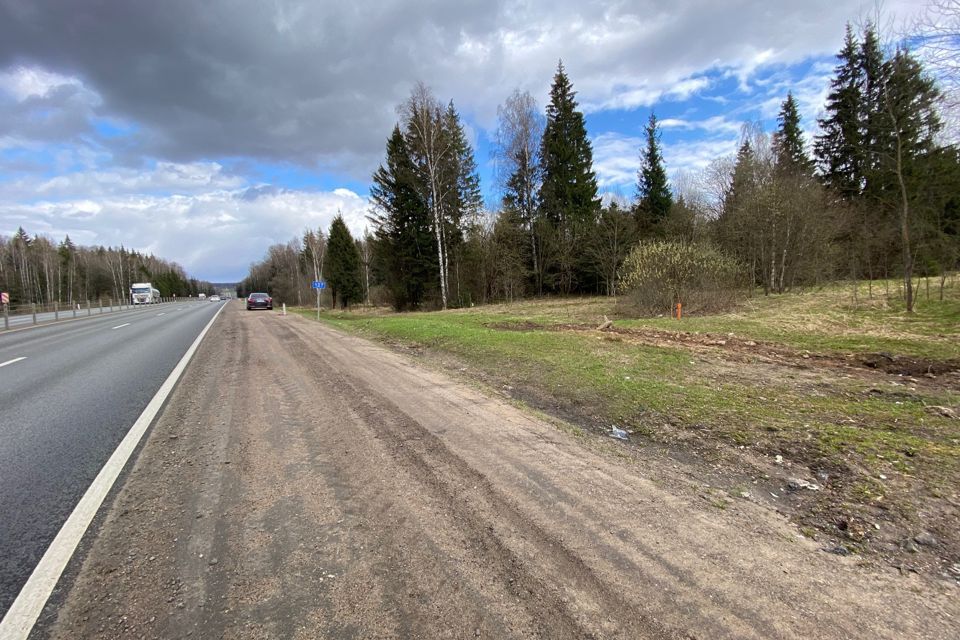 земля городской округ Можайский деревня Ельня фото 6