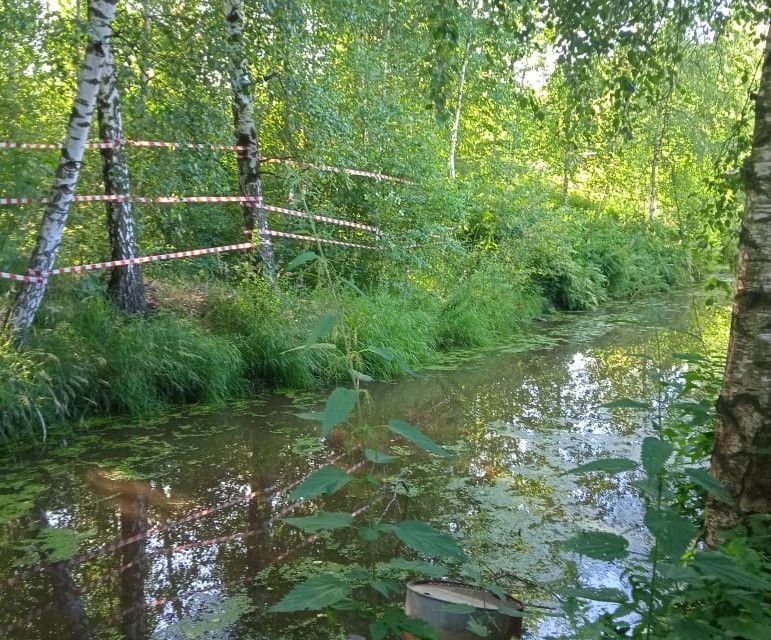 земля городской округ Павловский Посад садовое товарищество Текстильщик фото 5