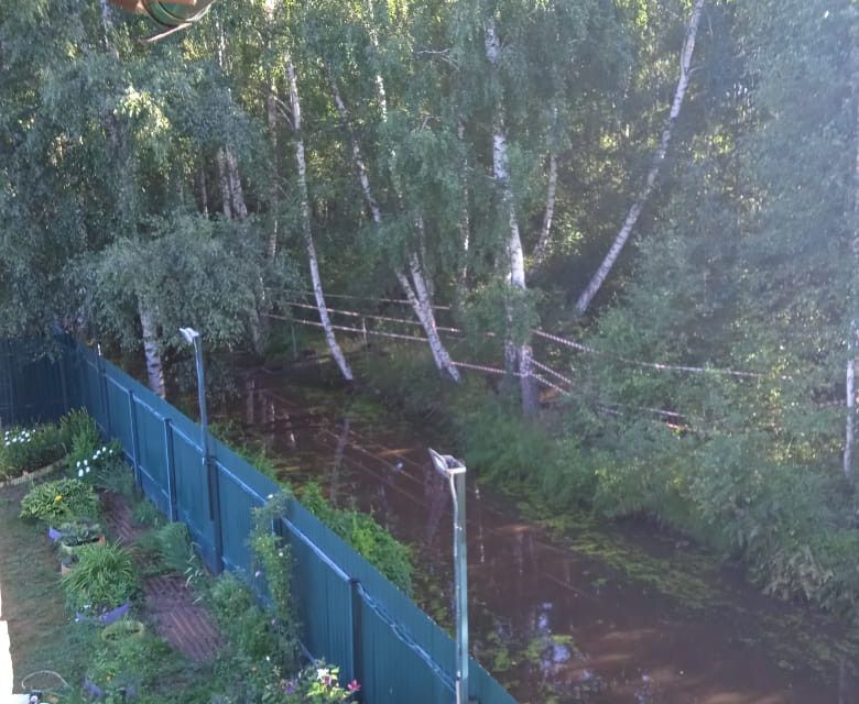 земля городской округ Павловский Посад садовое товарищество Текстильщик фото 6