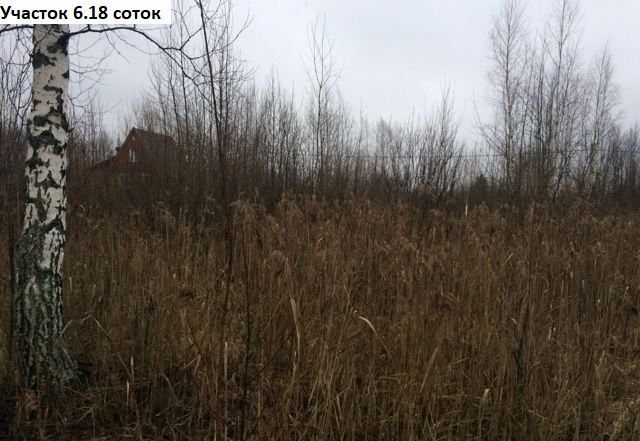 земля городской округ Павловский Посад садовое товарищество Текстильщик фото 8