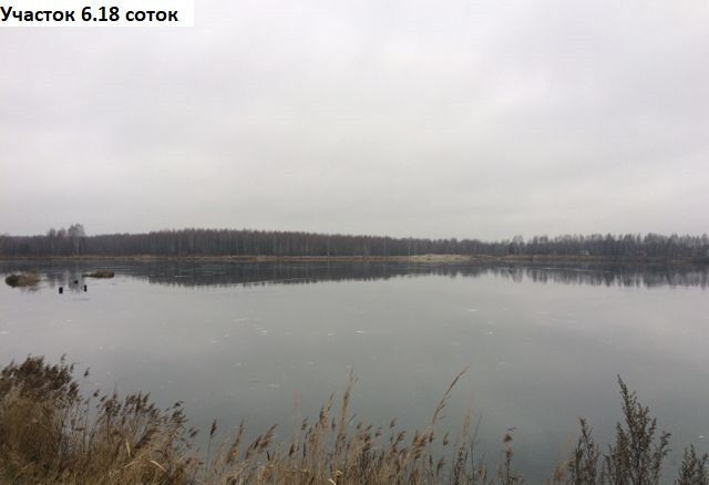 земля городской округ Павловский Посад садовое товарищество Текстильщик фото 9