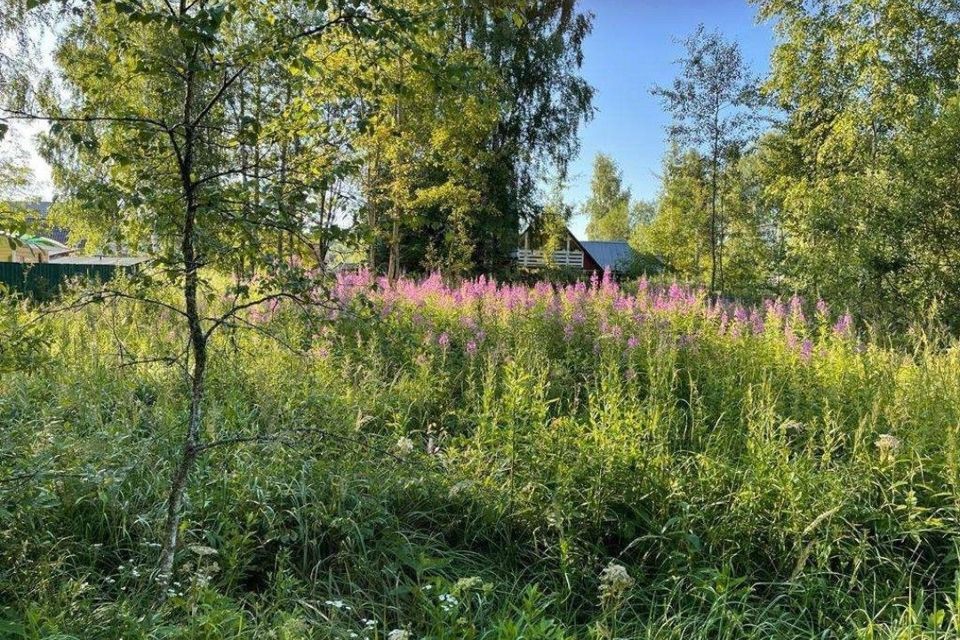 земля городской округ Наро-Фоминский деревня Чеблоково фото 8