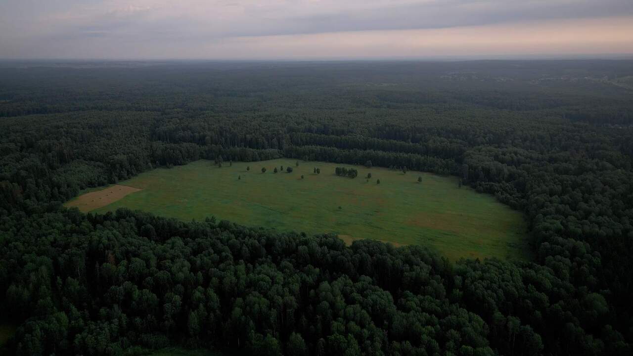 земля городской округ Шаховская д Муриково ул Лесная Новорижское шоссе фото 12