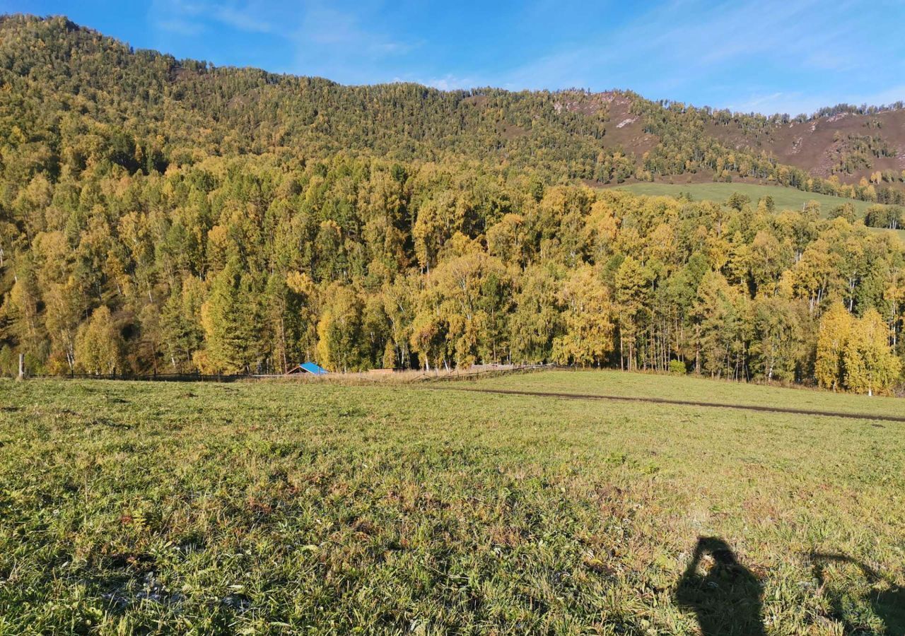 земля р-н Шебалинский Алтайский край, Алтайское фото 3