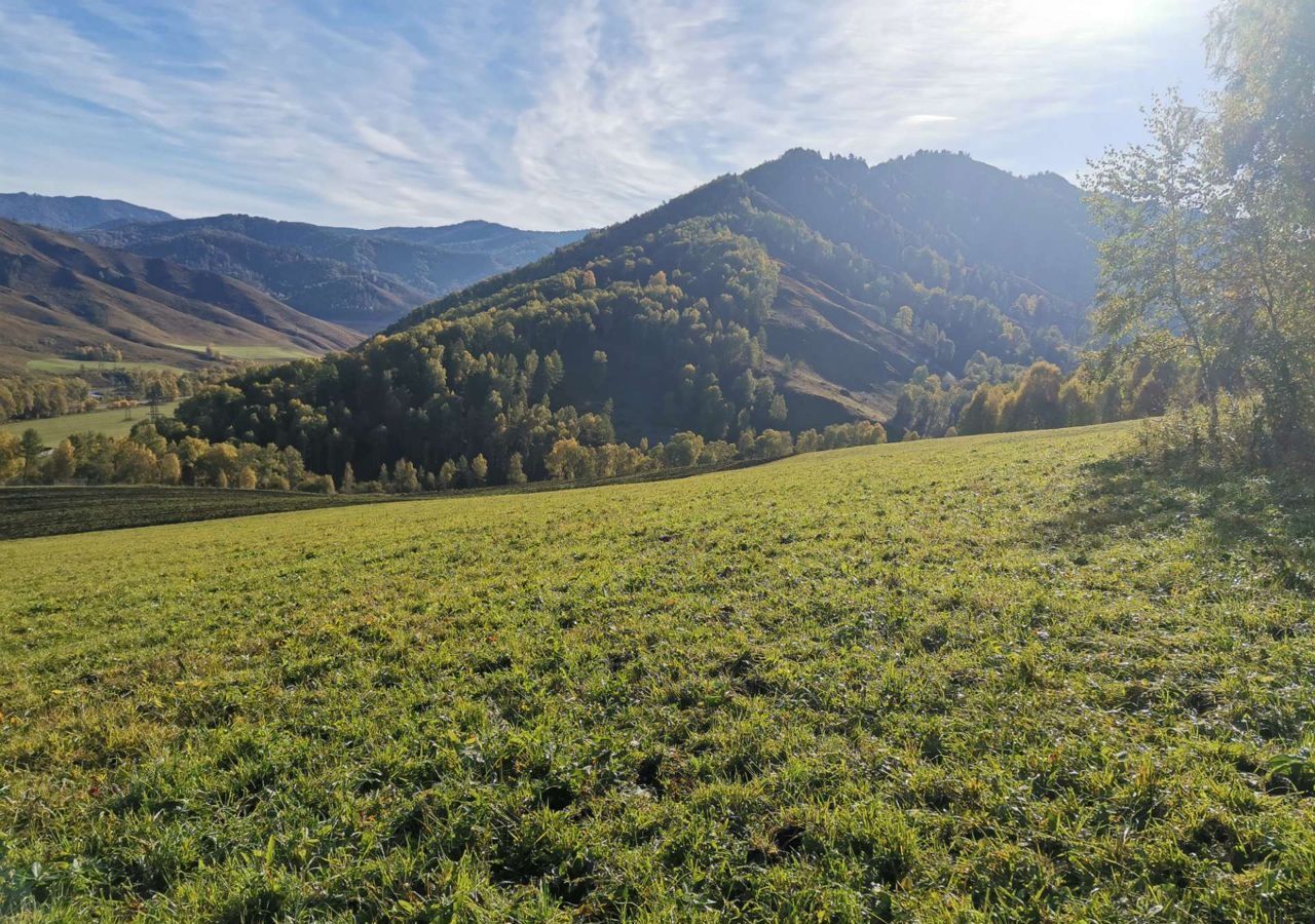 земля р-н Шебалинский Алтайский край, Алтайское фото 9