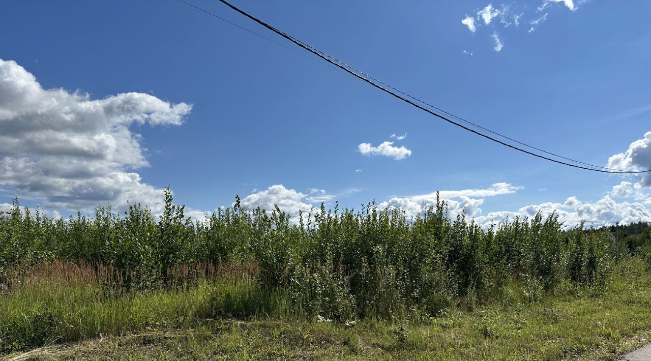 земля городской округ Пушкинский д Алёшино Алешинские Просторы кп, 141 фото 2