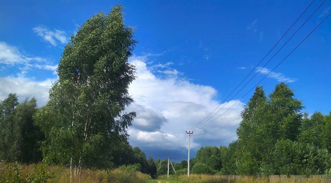 земля Переславль-Залесский городской округ, д. Подберезье фото 7