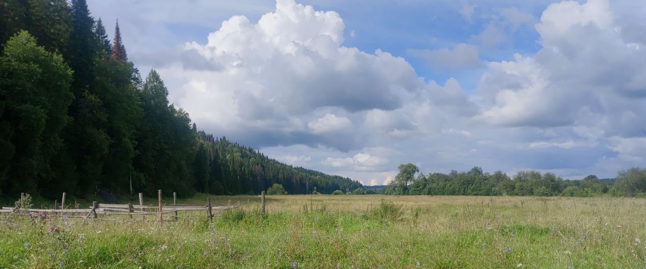 земля р-н Большесосновский д Зачерная фото 18