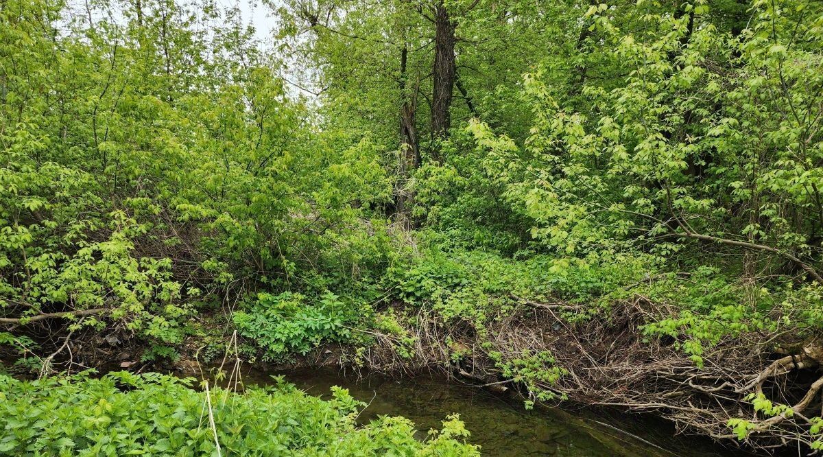 земля городской округ Коломенский с Коробчеево ул Лесная 29 Коломна городской округ фото 19