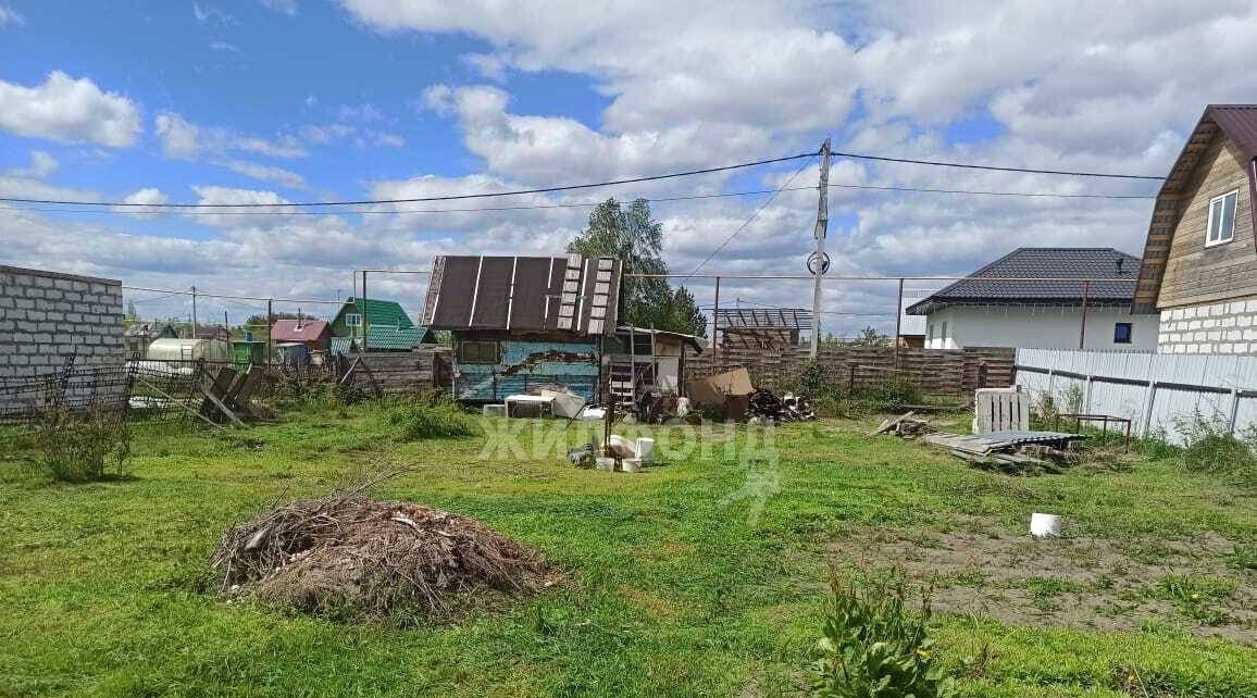 земля р-н Новосибирский снт Елочка ул Ореховая Криводановский сельсовет фото 1