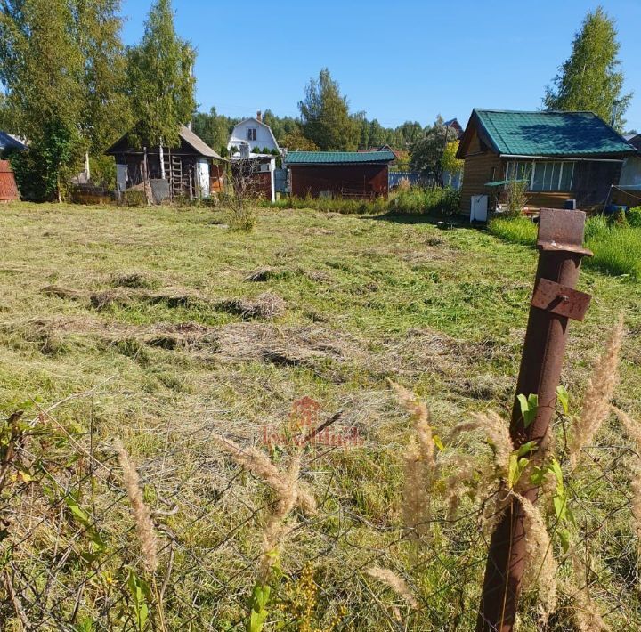 земля городской округ Талдомский Океан-1 садовое товарищество фото 2