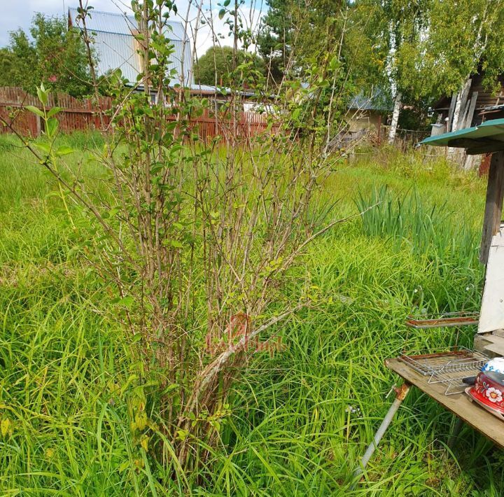 земля городской округ Талдомский Океан-1 садовое товарищество фото 7